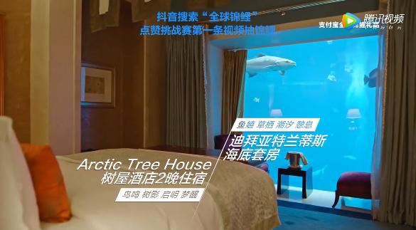 2018支付宝中国锦鲤礼包清单,2019年支付宝全球锦鲤奖品名