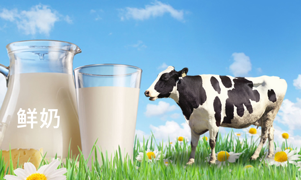 牛栏奶粉怎么样相关推荐,牛栏奶粉怎么样