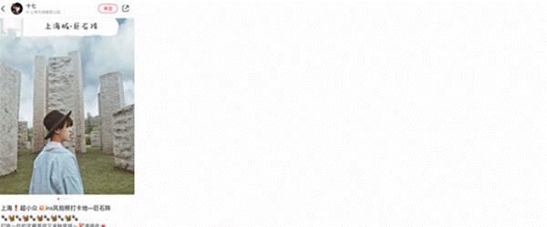 新晋网红打卡地池杉林,小红书网红打卡点