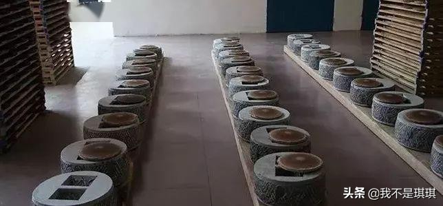 普洱茶真相揭秘切记不懂装懂,普洱茶切忌不懂装懂