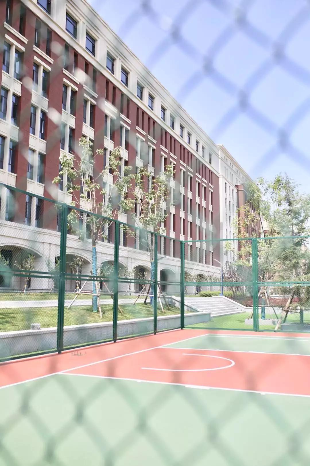 听足球报告有感,听报告谈感想