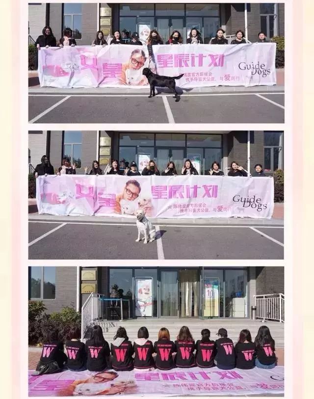 爱豆生日应援怎么筹备,爱豆生日应援怎么准备