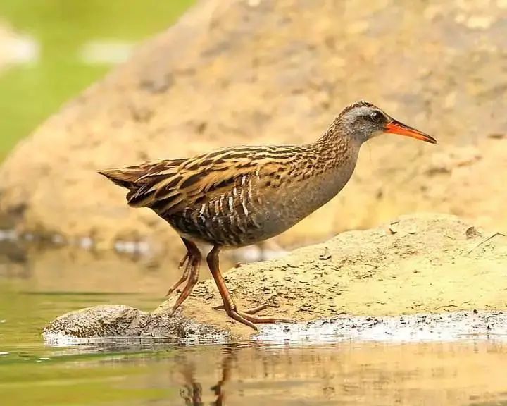 记录60后70后的童年生活,80后的童年回忆真实记录