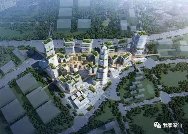 深圳经济特区的生日,深圳经济特区生日快乐