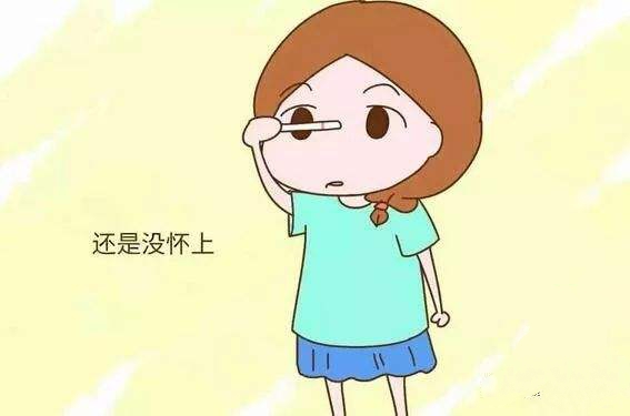 助孕小知识！排卵期并非固定，这3个方法能测试真正排卵期！