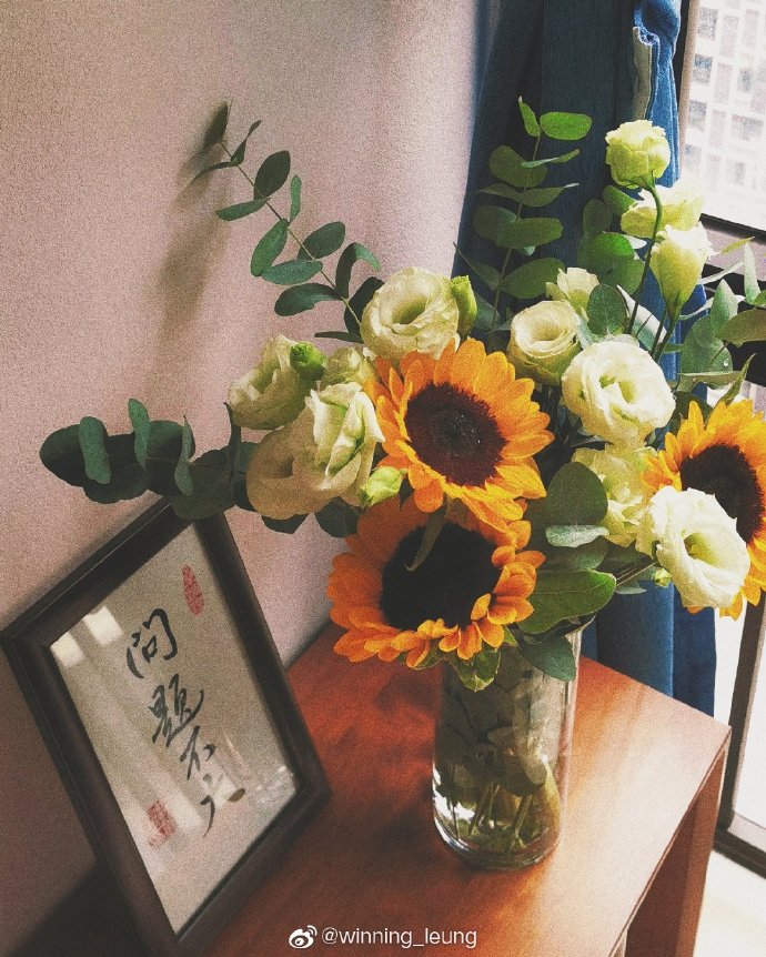 珠海香洲鲜花店,珠海鲜花超市