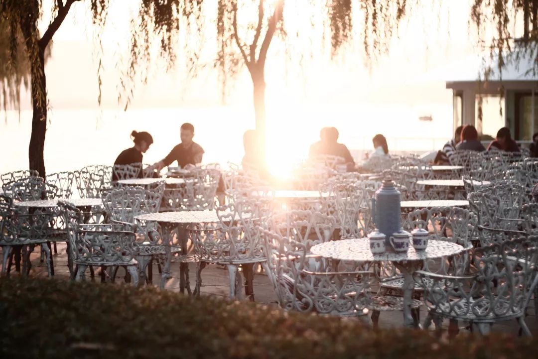花港一楼茶楼,花港公园一元早茶