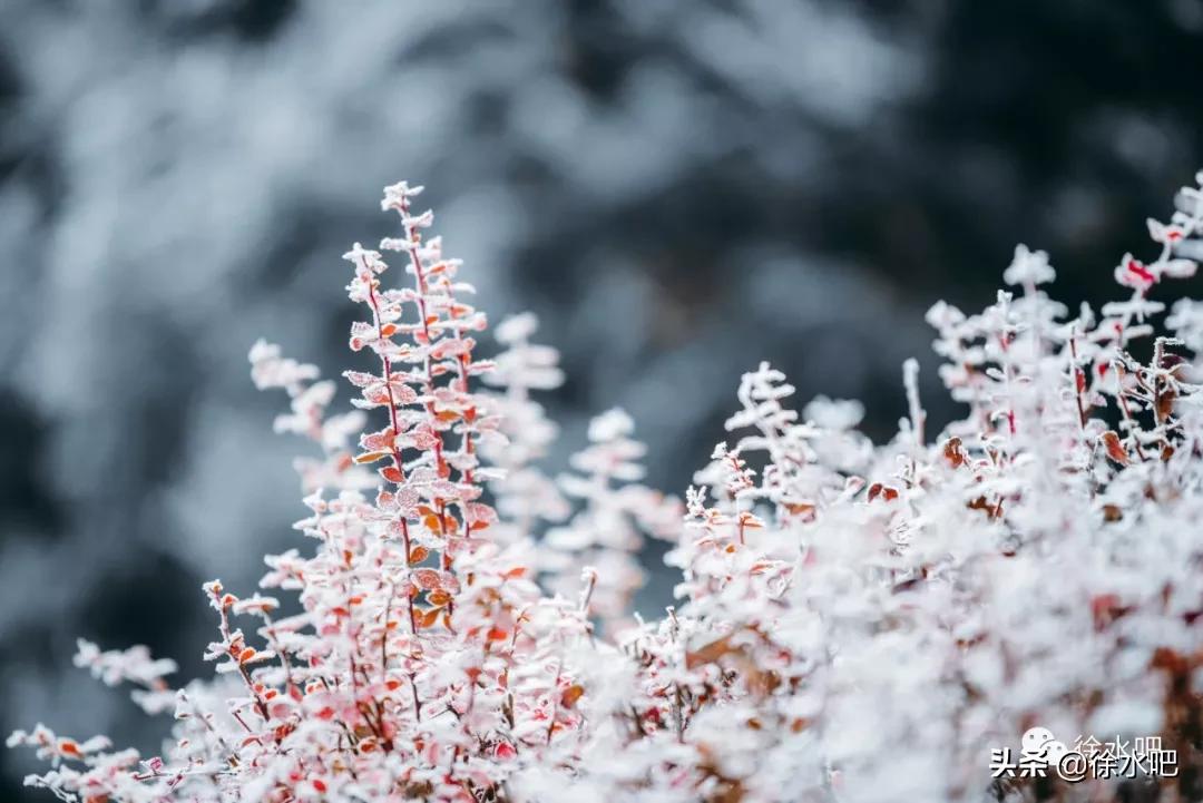 「徐水映像」换个角度看保定徐水,美