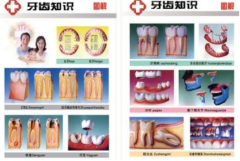 全国爱牙日牙科活动,口腔医院爱牙日宣传策划