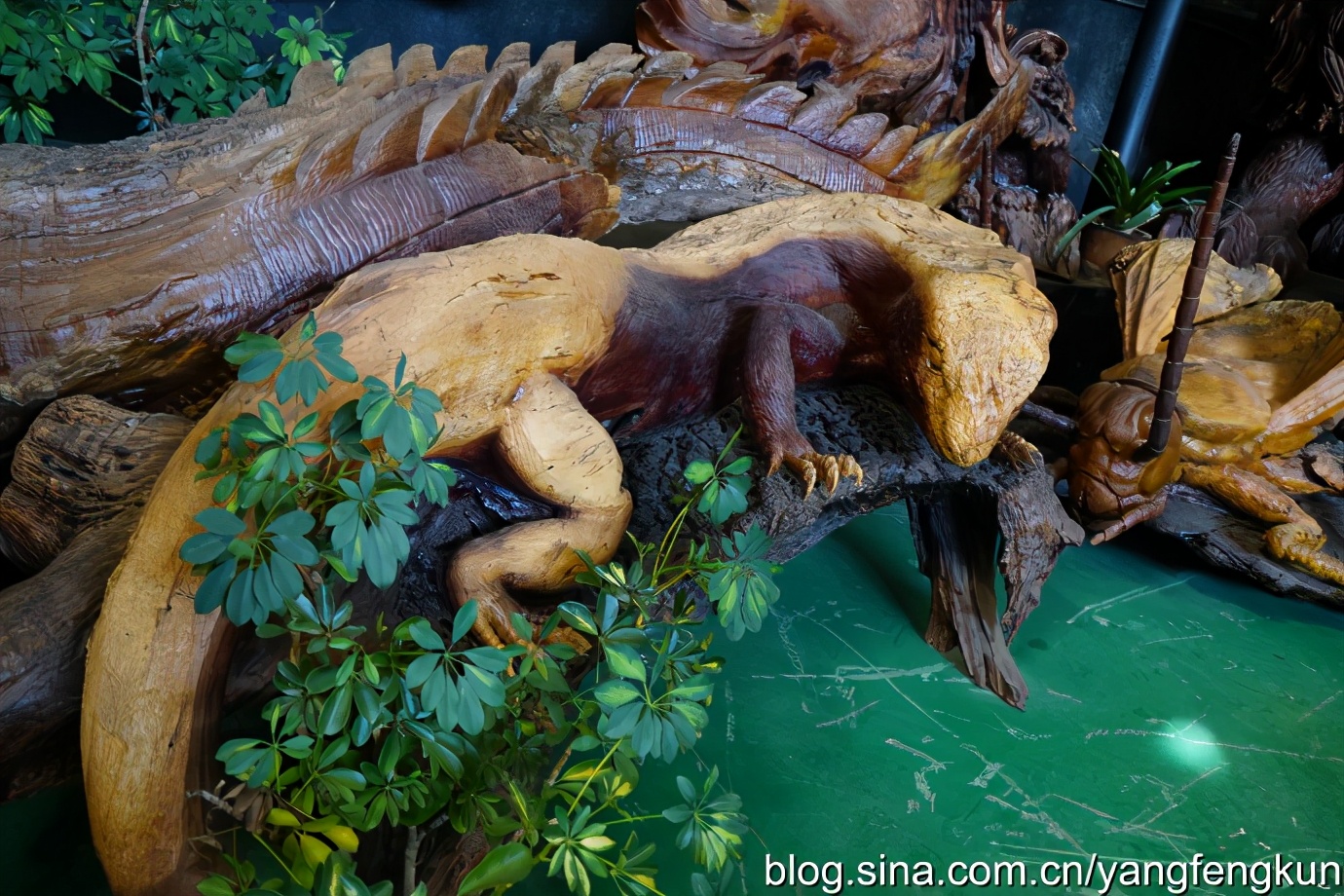 世界上最大的蜗牛介绍,全世界最大的蜗牛