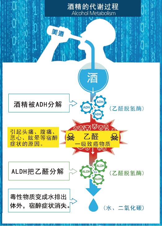 喝酒脸红医生怎么说,喝酒脸红中医解读