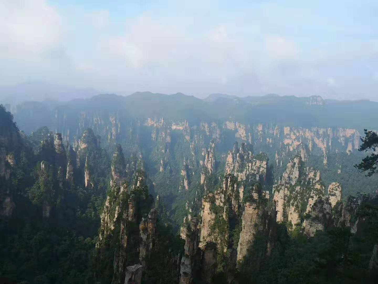 指数基金网格交易法和定投结合,指数基金跟定投有什么区别