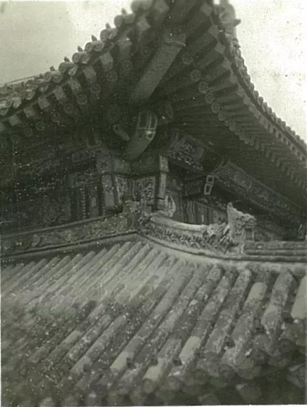 你可能没见过的姓氏,你可能没见过的日语