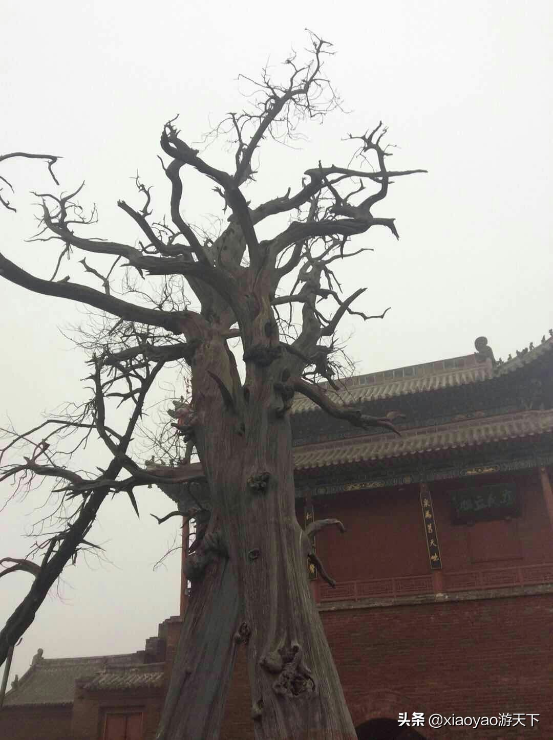 天下第一陵太昊伏羲陵,河南周口淮阳太昊伏羲陵