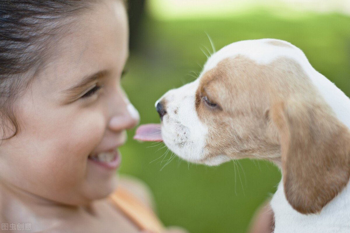 孩子养宠物的好处和坏处,孩子想养宠物给他养什么
