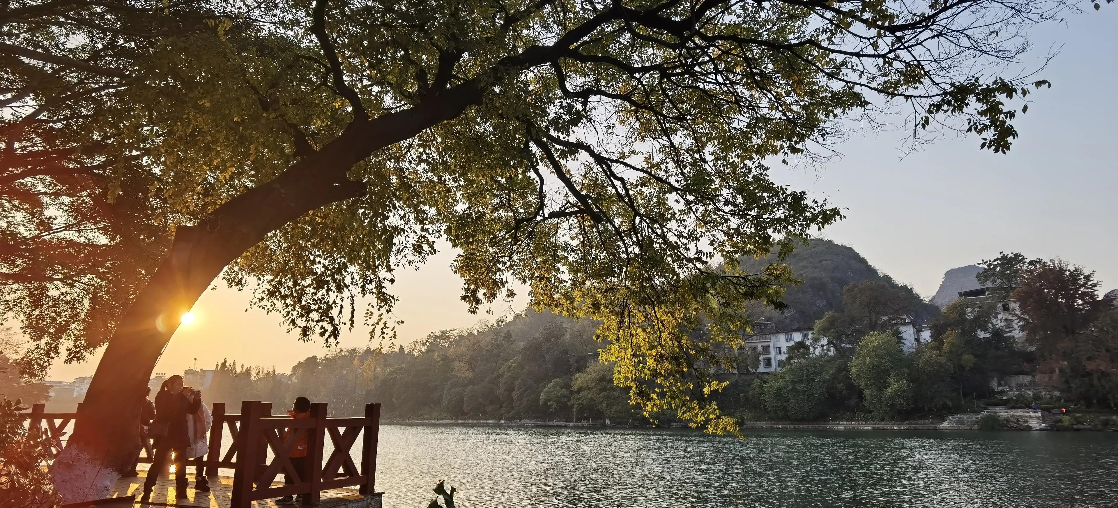 桂林：冬季到桂湖来看景