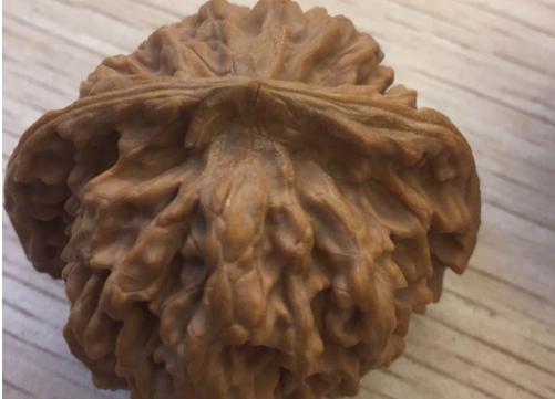 文玩核桃尖部开裂怎么处理,文玩核桃苹果园纹理会开裂吗