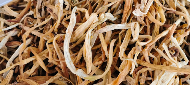 萱草花是母亲花吗,为什么萱草花被称为母亲之花