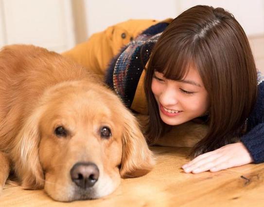 狗狗“发情”如何鉴定?这几点主人要知道