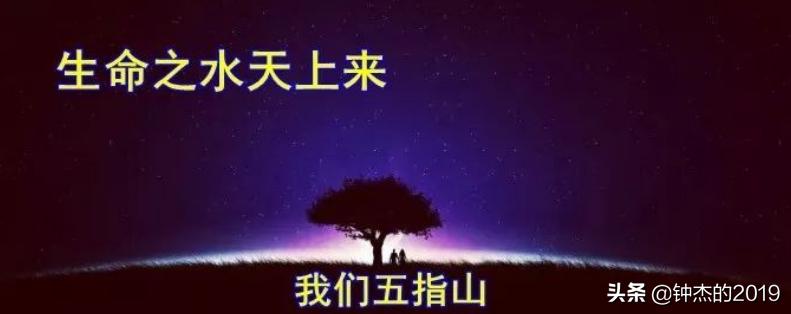 水好什么意思,水好