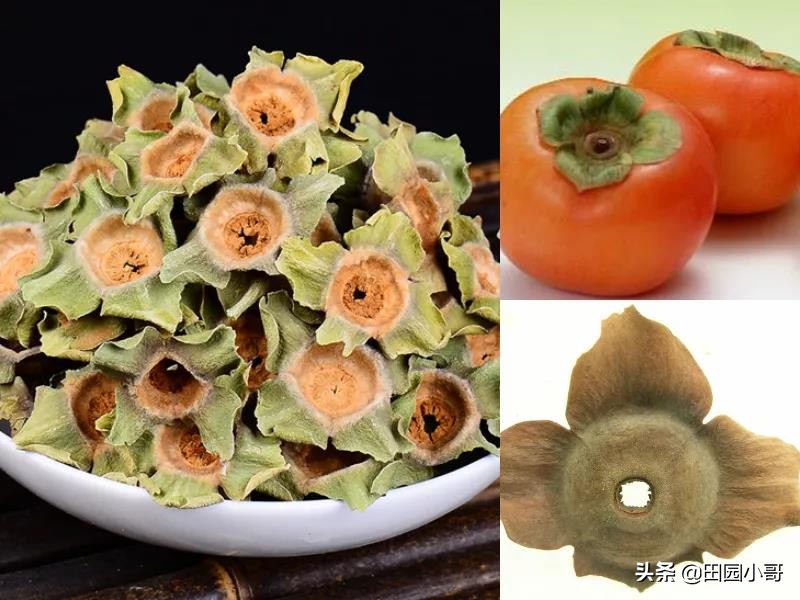 柿树细菌性角斑病的克星,柿树干顶角斑病特效药