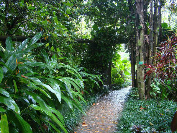 西安到三亚旅游攻略自由行费用,海南旅游攻略自由行三亚最佳路线