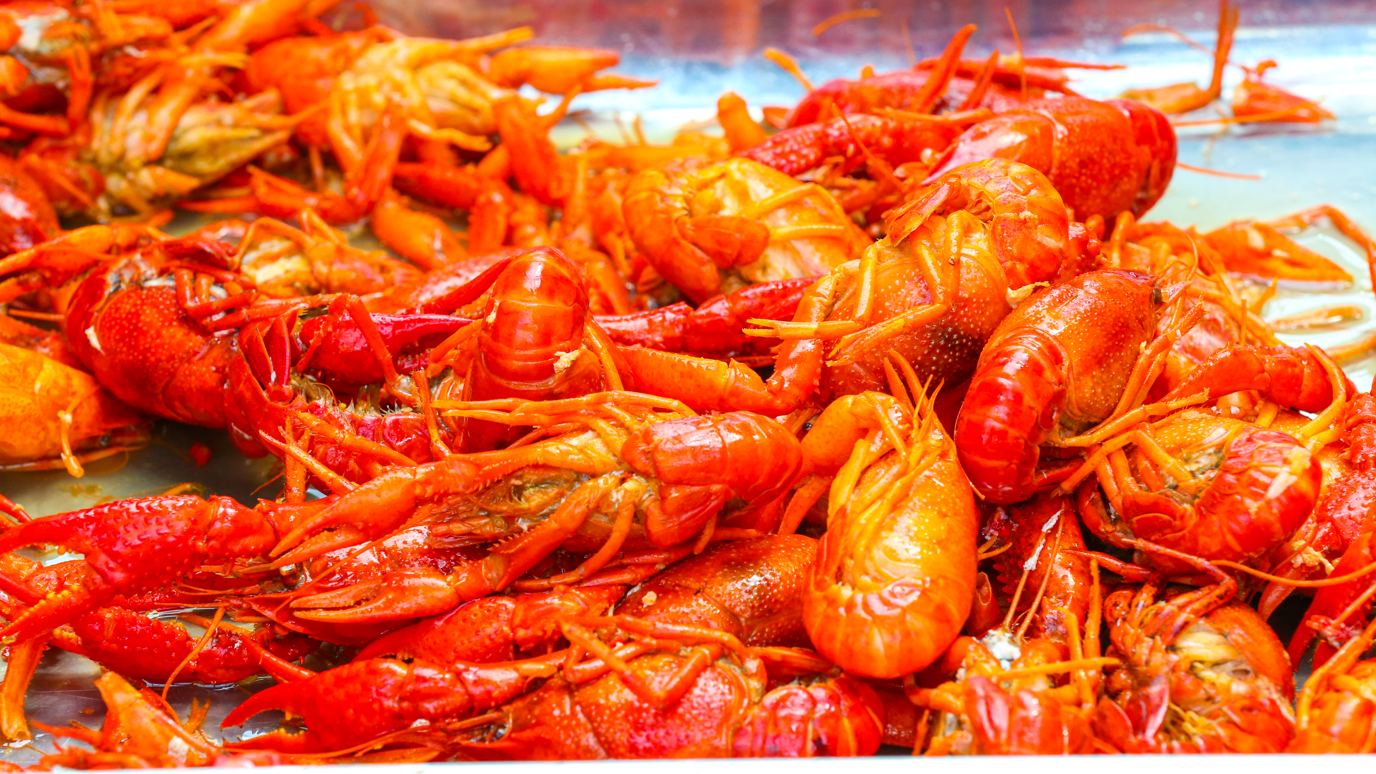 南浔古镇虾客大会要不要约,2023南浔虾客大会从什么时间开始