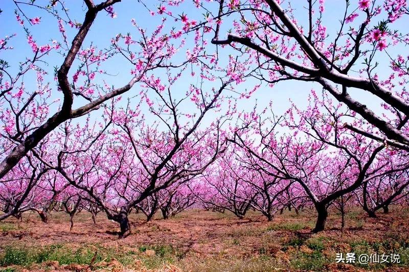 合肥北城还是长丰北城,合肥北城和肥西