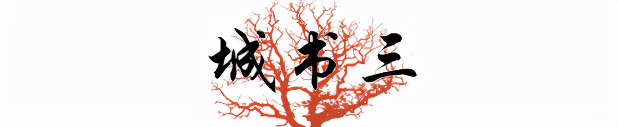 网红第一人罗玉凤,网红罗玉凤现象