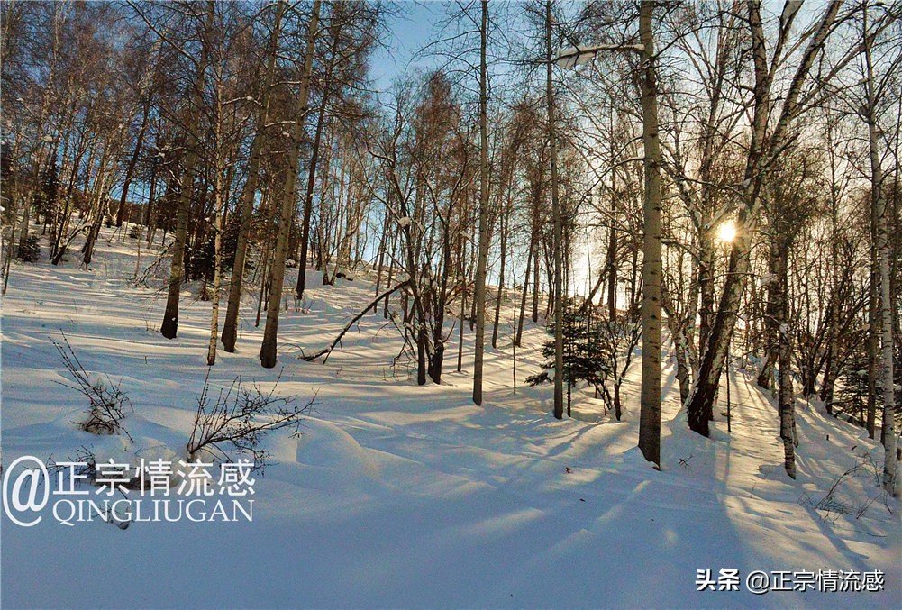 诗与远方：冬游喀纳斯