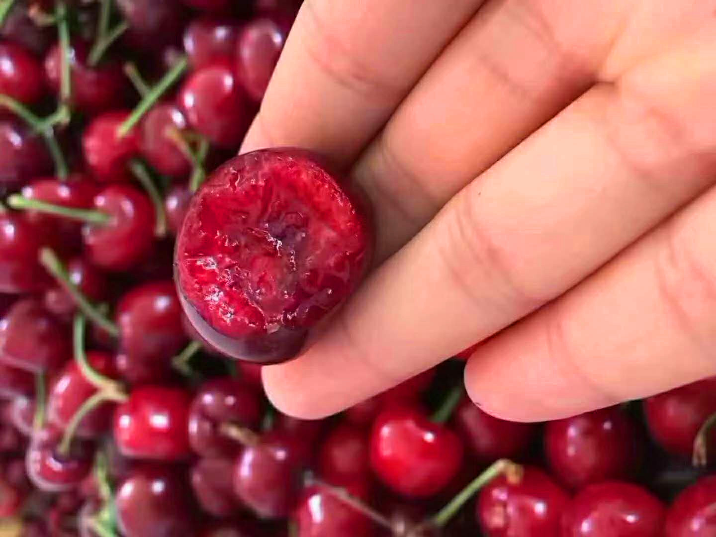 怎么避免樱桃里有虫子,大樱桃虫子怎么去除