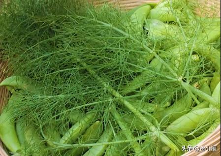 黔东南苗族特色美食药膳,黔东南苗族侗族自治州的特色美食