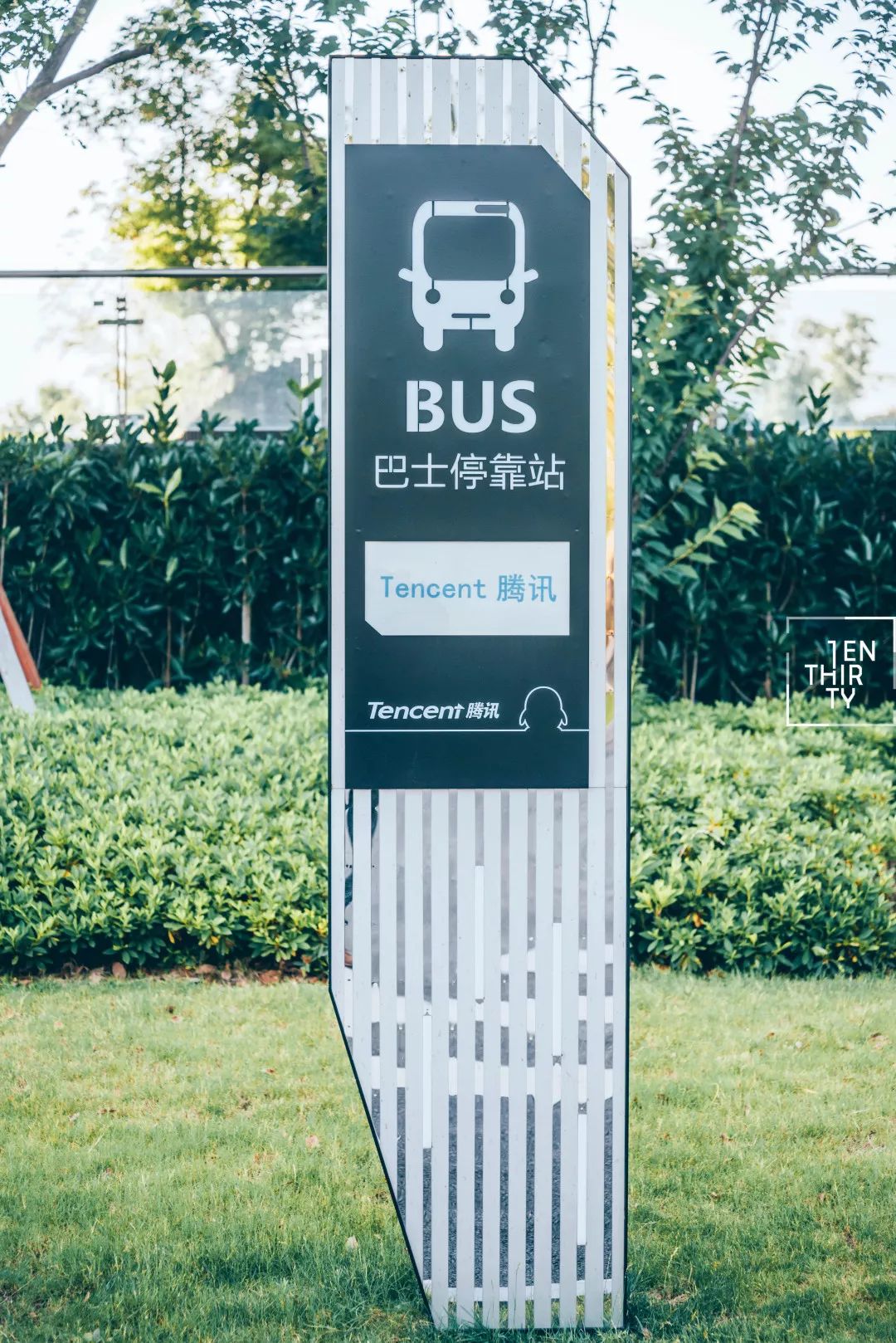 用66张照片回忆2020年,江夏高清图片