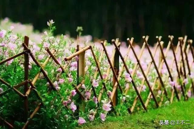 远赴人间盛宴谈笑风生不动情,远赴人间惊鸿宴谈笑风生不动情