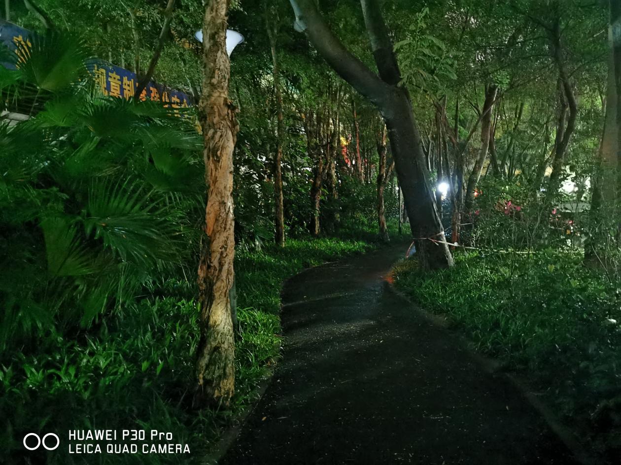 华为p30pro和mate30pro,华为p30pro最大的缺点与不足