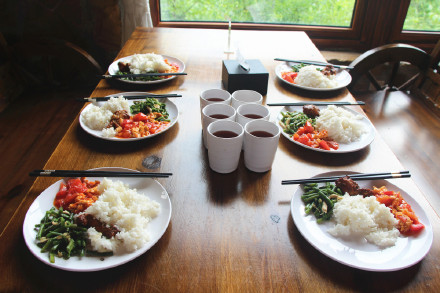 喂萌宠，捡鸡蛋，大自然里快乐多，精诚文化学校暑期班走进大自然