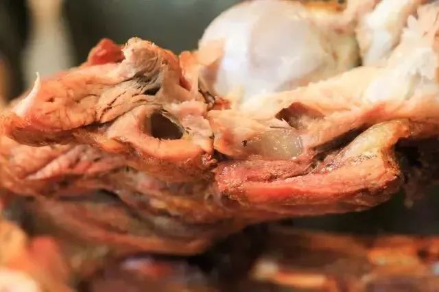 可以吃烧烤烤全羊的地方,有篝火烤全羊的地方