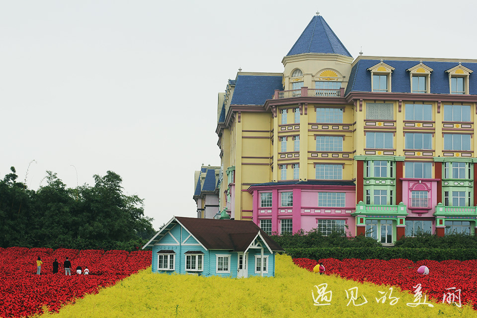 百万葵园有多坑,百万葵园免门票