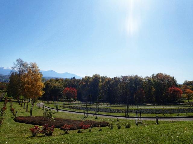 日本从南到北旅游路线,从南游到北