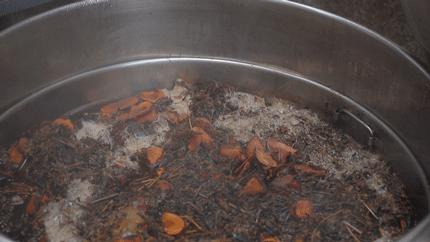 真正有龟的龟苓膏,龟苓膏新发现