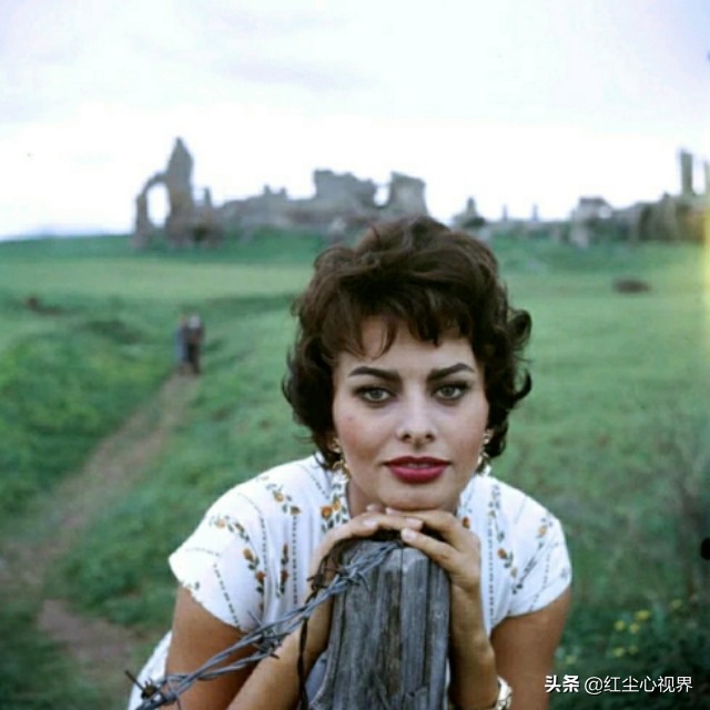 1957年，美丽的索菲娅·罗兰意大利永远的女神！