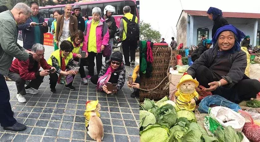 gucci和supreme联名马丁靴,guccisupreme鞋子