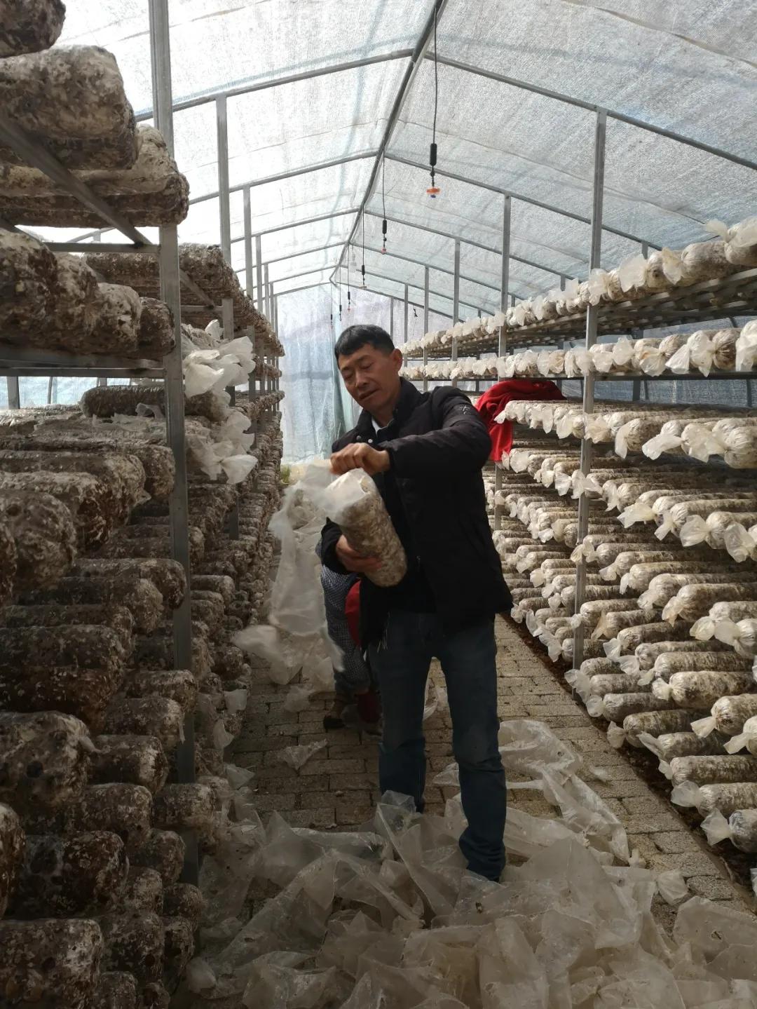 鲁甸卯家湾易地搬迁安置项目,鲁甸卯家湾搬迁摇号分房