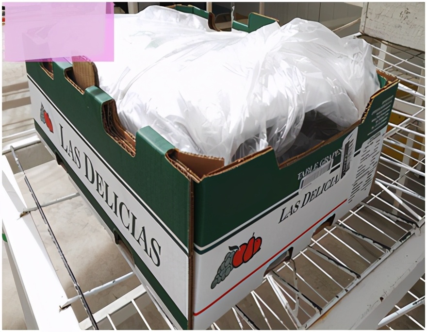 提子品种和介绍 (提子的品种都有哪些)