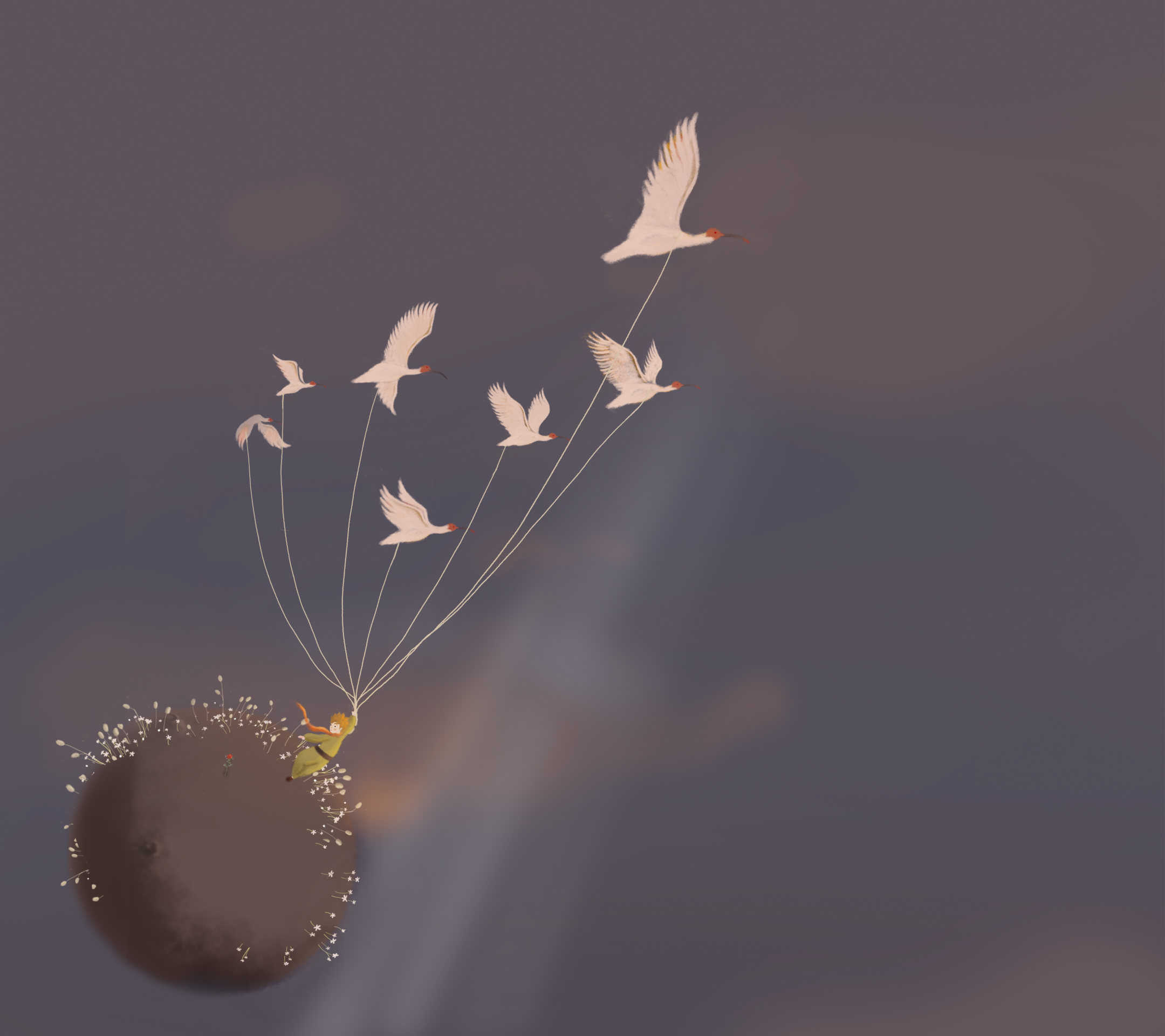 oppo手机壁纸存在哪里,oppo手机壁纸原生