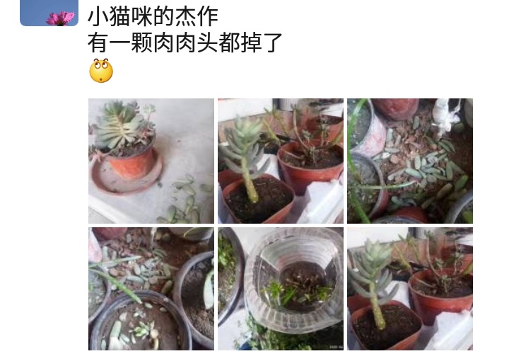 生活随笔作文600字,生活随笔美文