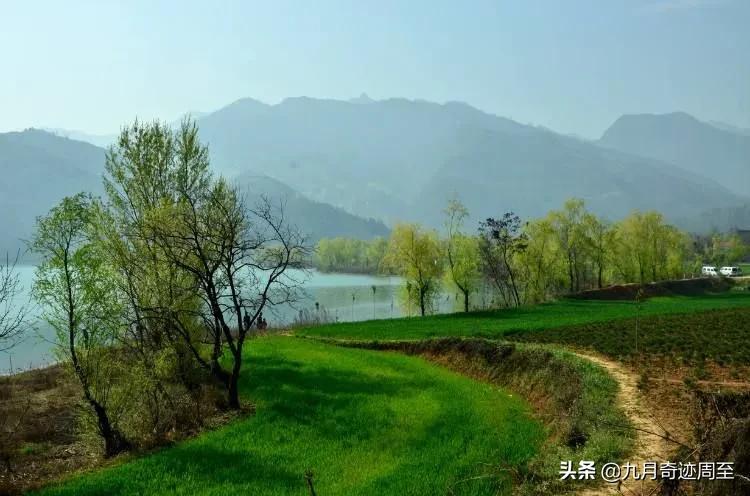 白居易在周至写出的名篇,白居易任周至县尉诗词