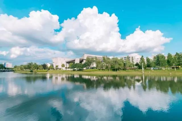 东南大学最美校花,全国公认大学最美校花