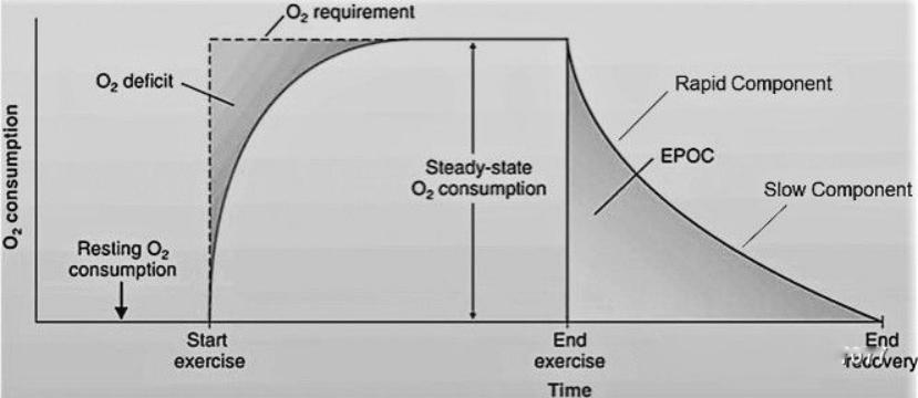 关于减脂的饮食健身原则你懂了吗,新手减脂能不能只练三大项