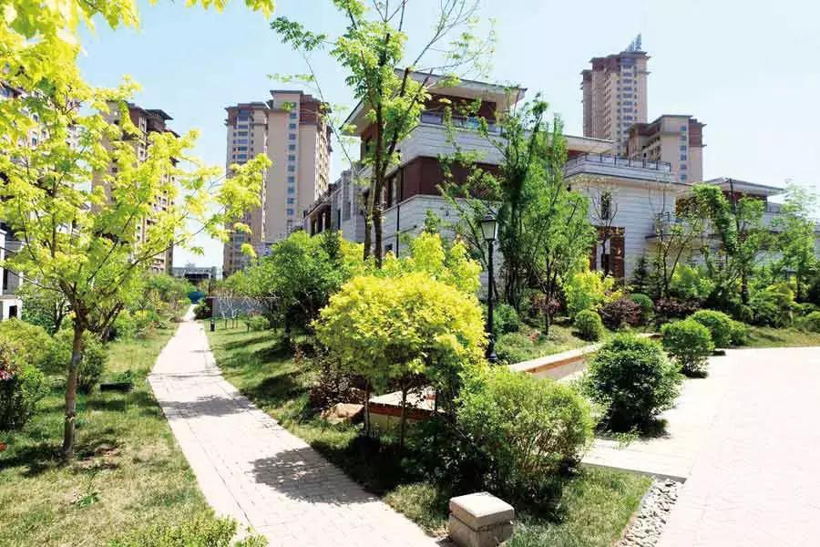 沈阳即将开发的学校,沈阳未来五年学区房